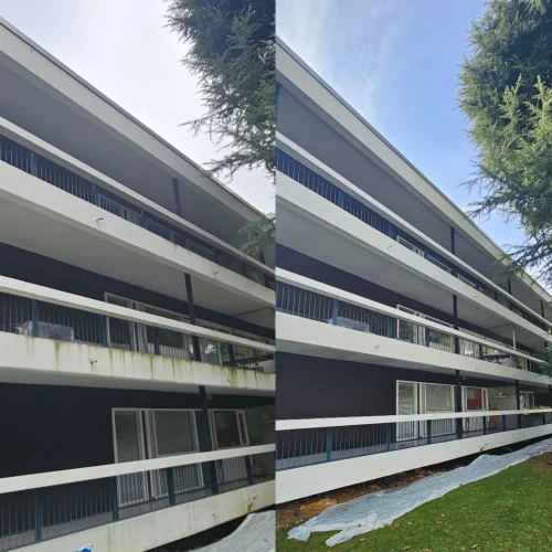 Screenshot_20251012_150613_Photos